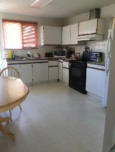 5 min Walk to Lions Park Ctrain/ 2min North Hill Shoping Mall - Photo 2