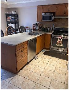 House for rent