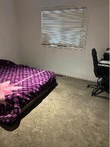 House for rent - Photo 7