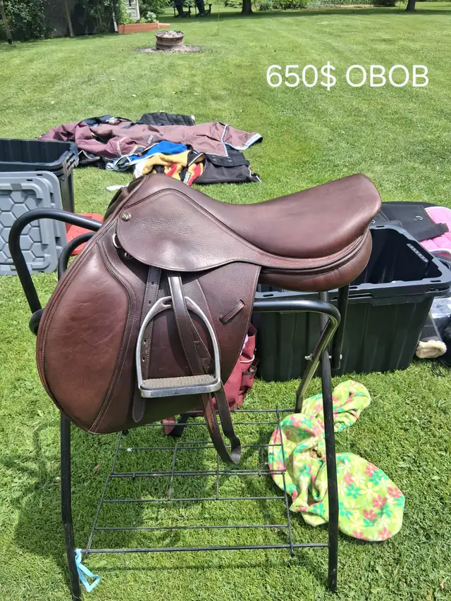 M/W CC saddle & AP saddle