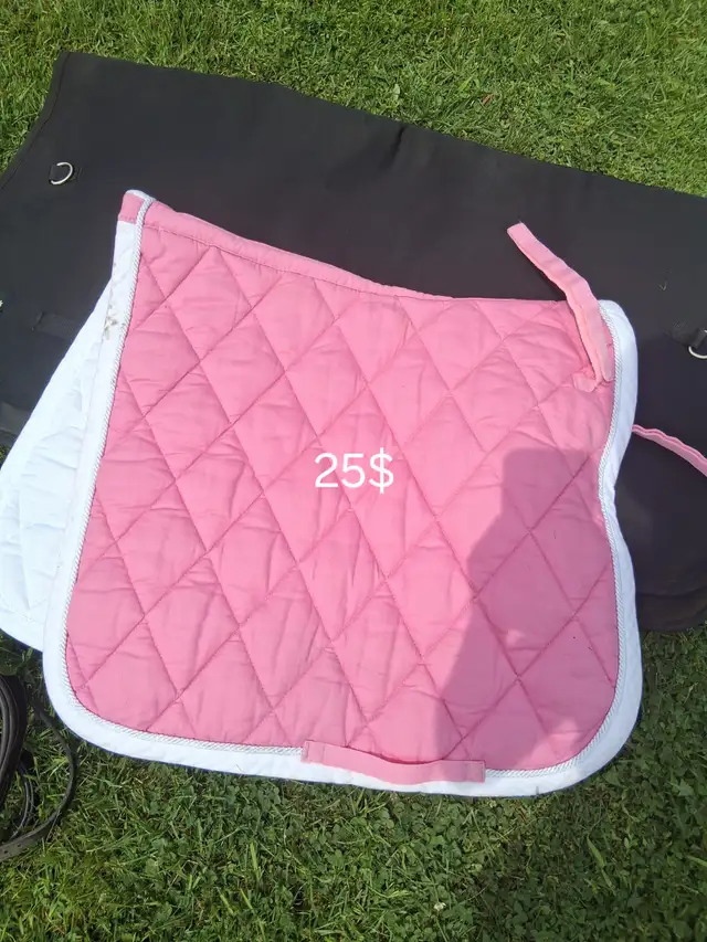Tons of Saddle pads
