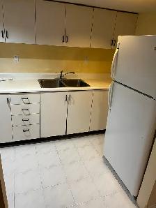 1 Bed 1 Bath Basement for Rent (August 1st start) - Photo 3