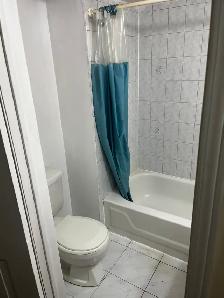 1 Bed 1 Bath Basement for Rent (August 1st start) - Photo 9