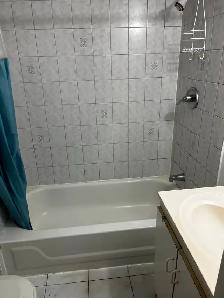 1 Bed 1 Bath Basement for Rent (August 1st start) - Photo 11