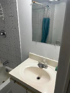 1 Bed 1 Bath Basement for Rent (August 1st start) - Photo 12