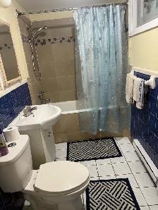 1 bed 1 bath studio 1 chambre 1 salle de bain studio! - Photo 7