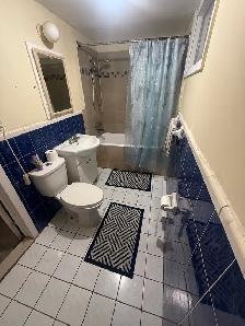 1 bed 1 bath studio 1 chambre 1 salle de bain studio! - Photo 8