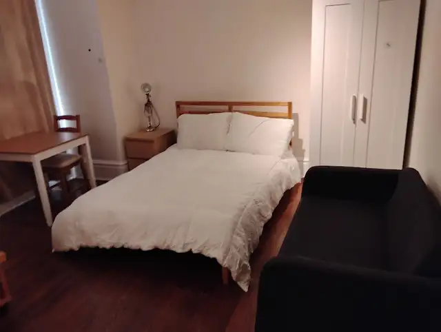 Large furnished room DT available immed or Aug 1- female only