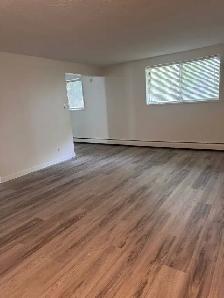 Heart of Old Strathcona - 1 bed with parking - Photo 3