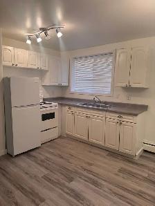 Heart of Old Strathcona - 1 bed with parking - Photo 5
