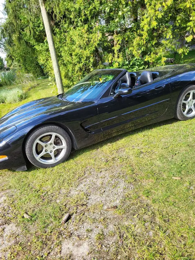 1998 Corvette convertible