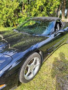 1998 Corvette convertible - Photo 2