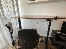 Standing Desk L= 60'' , W=30' AnthroDesk