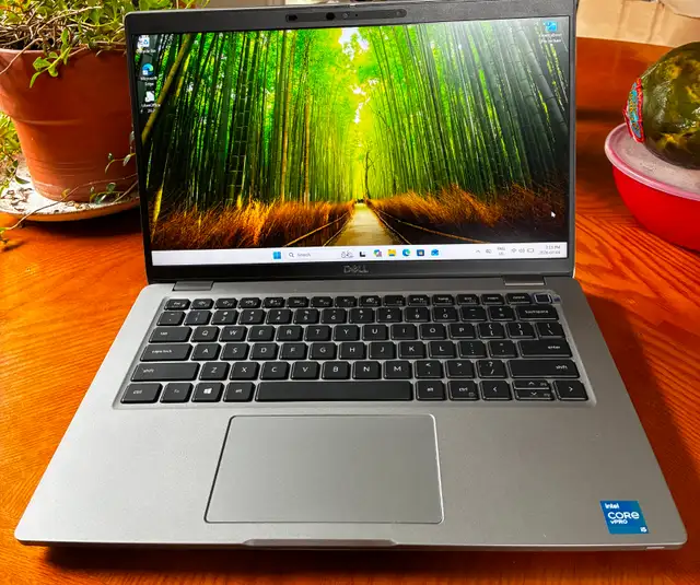 Dell Latitude 5420 PRISTINE AND CHEAP!