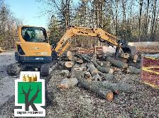 KINGDOM TREE SERVICES - FREE ESTIMATE - 905-301-2633 - Photo 3