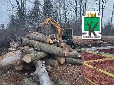 KINGDOM TREE SERVICES - FREE ESTIMATE - 905-301-2633 - Photo 4