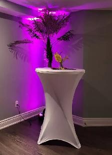 CHAIR TABLE TENT RENTAL | PARTY RENTAL | MISSISSAUGA GTA - Photo 9
