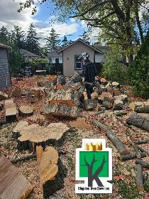 TREE REMOVAL ★ FREE ESTIMATE ★ (905)301-2633 - Photo 3