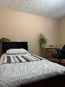 Brampton furnished Private Room,Near to Bus stop - Photo 6