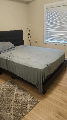 One Room in a 2Bedroom Apartment - Photo 3