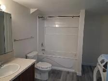 Updated 2 bdrm Westgate basement suite near C-train station - Photo 2