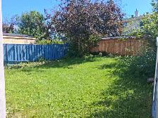 Updated 2 bdrm Westgate basement suite near C-train station - Photo 10