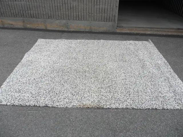 Tapis de maison