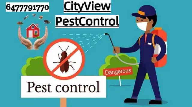 SAME-DAY Pest & Animal Removal — 15% OFF | CALL NOW 647-779-1779