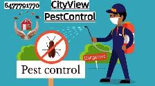 SAME-DAY Pest & Animal Removal — 15% OFF | CALL NOW 647-779-1779
