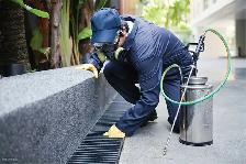SAME-DAY Pest & Animal Removal — 15% OFF | CALL NOW 647-779-1779 - Photo 4