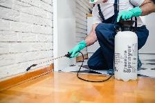 SAME-DAY Pest & Animal Removal — 15% OFF | CALL NOW 647-779-1779 - Photo 5