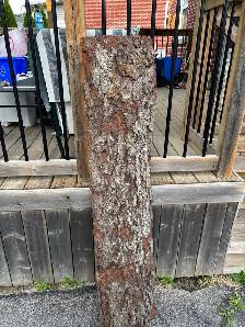 Handmade Welcome Sign Painted Made From Tree Outdoor Garden - Photo 7