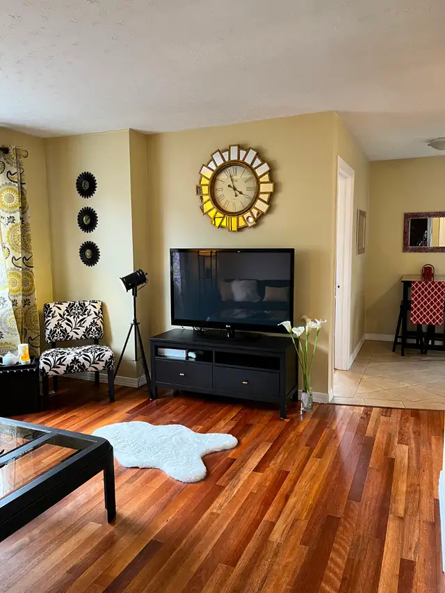 Everything Included Furnished Downtown Apt. Aug 1 !