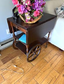 Estate Sale in Ville St Laurent - July 18 & 19 - Photo 4
