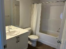 New room for rent - Photo 2