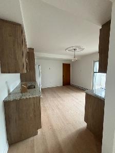 4 1/2 à louer - Saint-Léonard - Photo 2