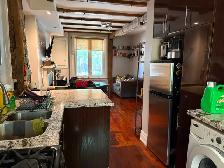 1 Bdrm Apt - Prime Riverdale, Withrow Park, Danforth, Near TTC - Photo 5