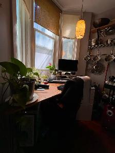 1 Bdrm Apt - Prime Riverdale, Withrow Park, Danforth, Near TTC - Photo 7