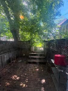 1 Bdrm Apt - Prime Riverdale, Withrow Park, Danforth, Near TTC - Photo 10