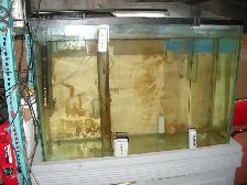 FOR SALE 45 GALLON AQUARIUM FRESH WATER SET UP $175
