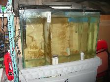 FOR SALE 45 GALLON AQUARIUM FRESH WATER SET UP $175 - Photo 3