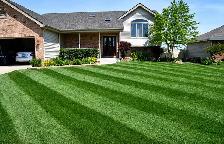 lawn care