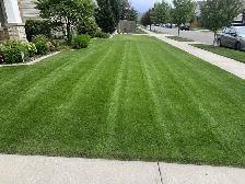lawn care - Photo 2