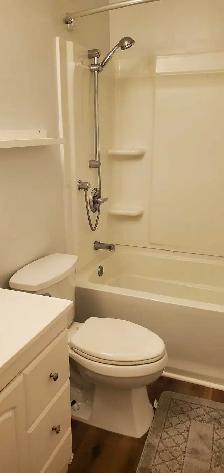 Furnished Master bedroom for Rent - Photo 3