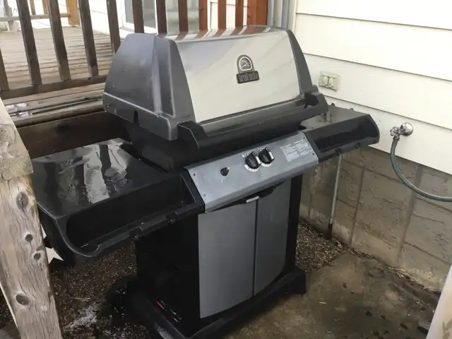 Natural gas barbq