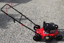 POWERSMART SIDE DISCHARGE GAS LAWNMOWER - Photo 2