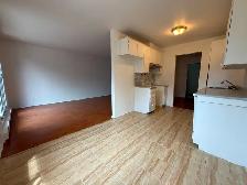 Grand 4 1/2 sur le Boulevard Saint-Martin Est, Duvernay, Laval - Photo 5