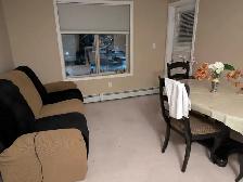 seeking female roommate. includes own washroom in Saddletown - Photo 3