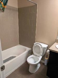 seeking female roommate. includes own washroom in Saddletown - Photo 5