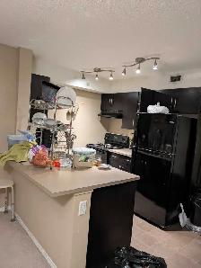 seeking female roommate. includes own washroom in Saddletown - Photo 7
